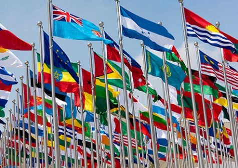 flags of the world - international development