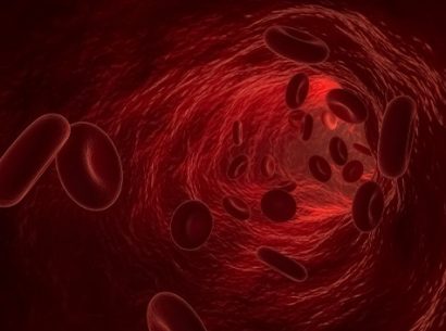 Globules rouges - Avancées scientifiques