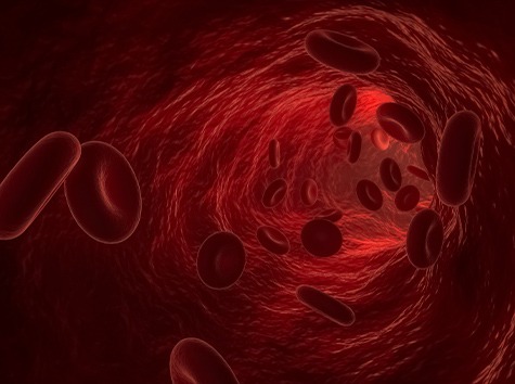 Globules rouges - Avancées scientifiques