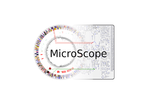 Plateforme MicroScope - 