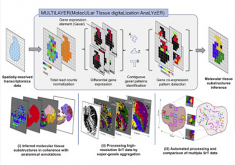 Sous-Mains - Analyse Métacognitive SRC - UMEO