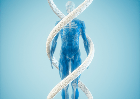 Human Genome - Genoscope