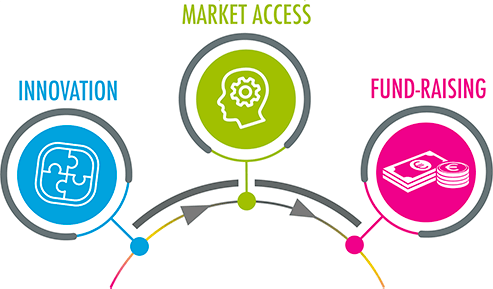 Innovation valuation process