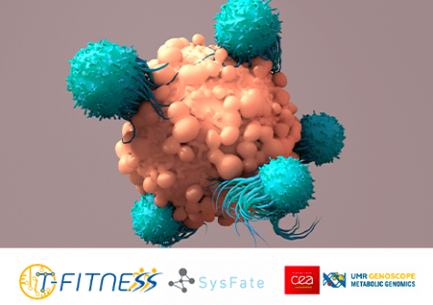 CAR-T Cells  - SysFate - T-FitnessFit