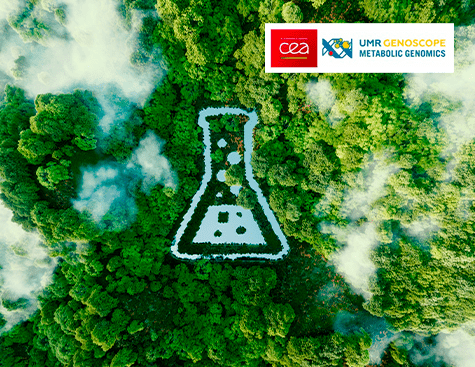 Galaxy-SynBioCAD: accelerating the arrival of green chemistry