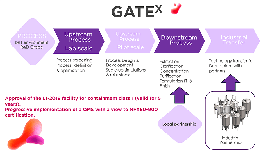 Gate X value chain